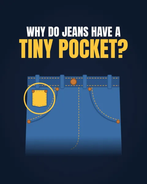 Why do jeans have a tiny pocket?: video frame