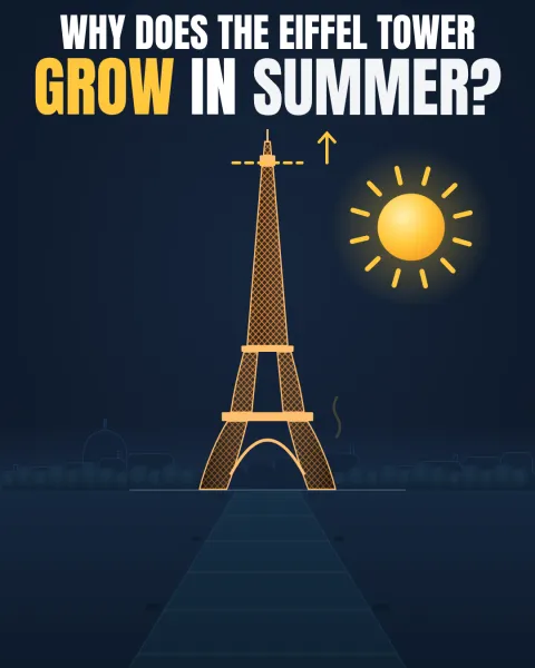 Why does the Eiffel Tower grow in summer?: video frame